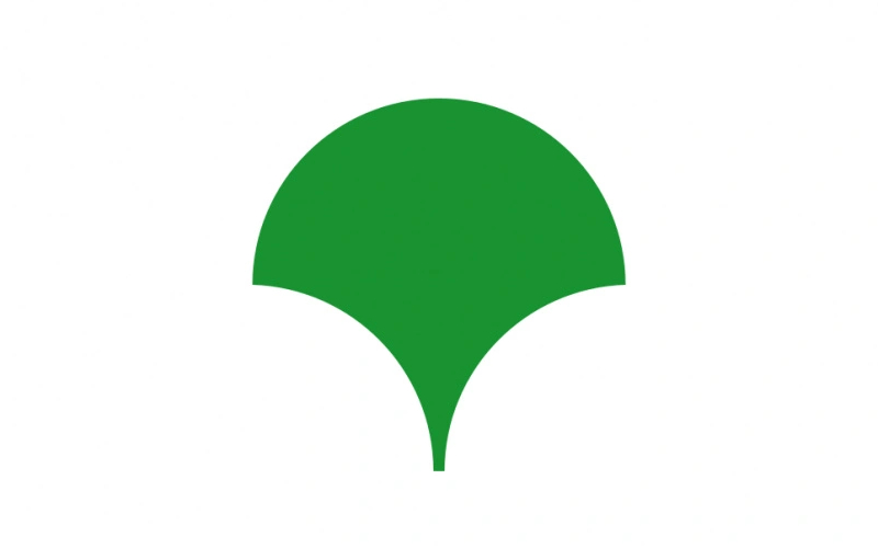 Cờ Nhật Bản: Ý nghĩa, lịch sử và biểu tượng “Mặt Trời Mọc” 10