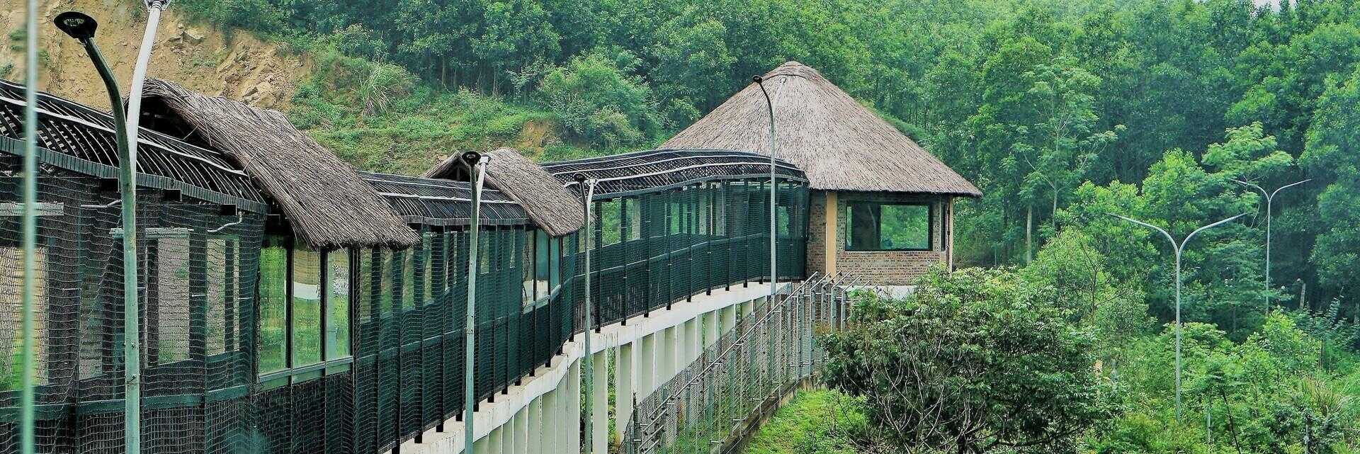 Cơ sở bảo tồn gấu Ninh Bình: Điểm đến thú vị dành cho người yêu thiên nhiên và động vật hoang dã 4