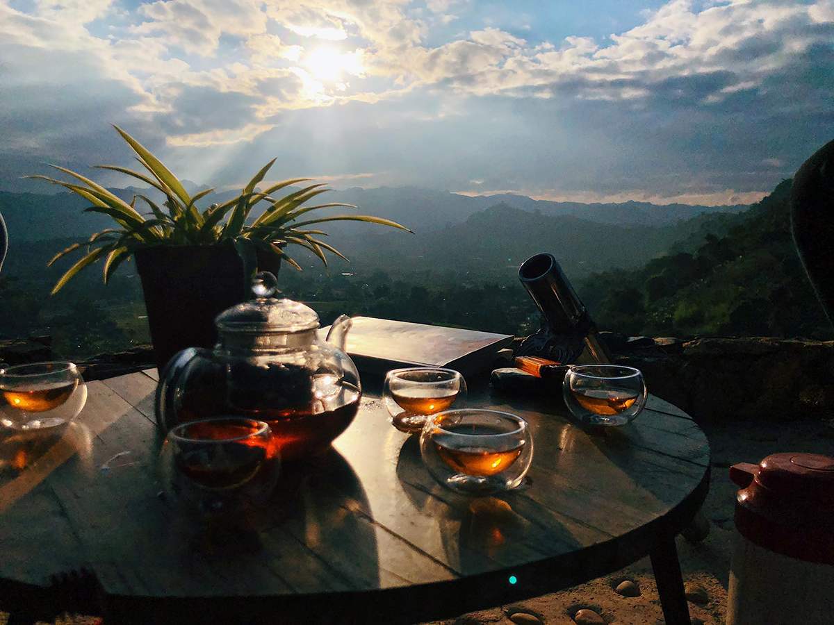 Cỏ Tea & Coffee - Thưởng thức cà phê giữa lưng chừng đồi 11