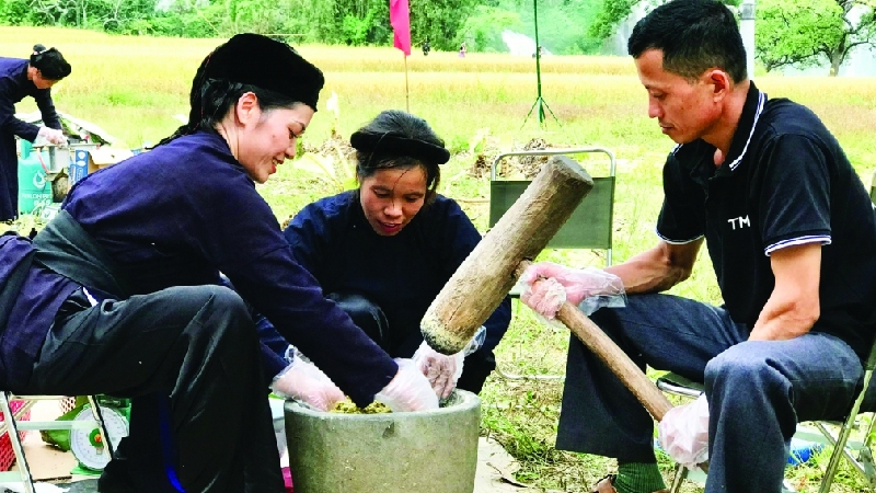 Cốm Làng Vòng và top 8 địa điểm bán cốm nổi tiếng Hà Nội 2
