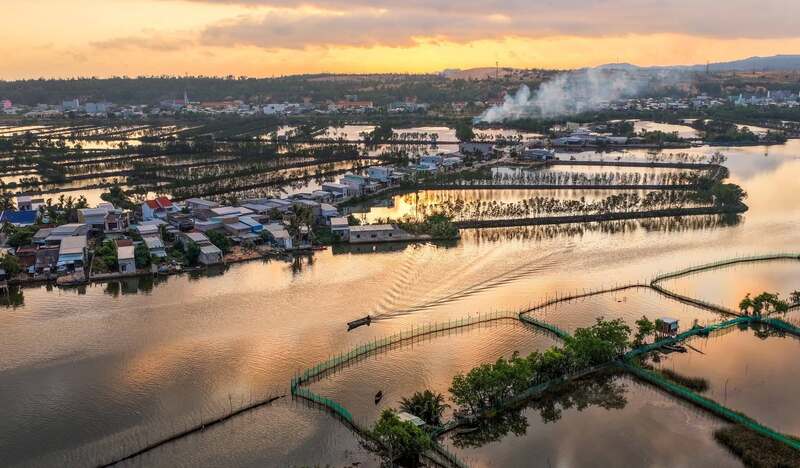 Cồn Chim Quy Nhơn, ốc đảo xanh giữa đầm Thị Nại 5