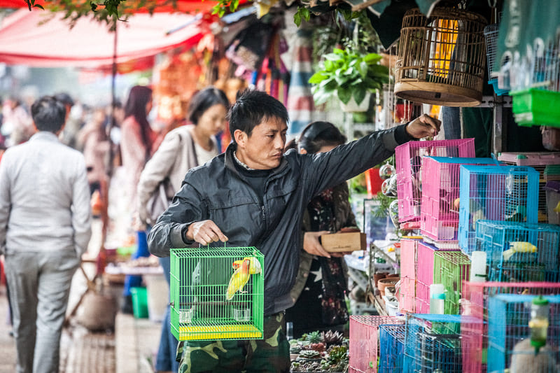 Tìm về Côn Minh, chiêm ngưỡng thành phố mùa xuân ngập tràn nắng ấm 11