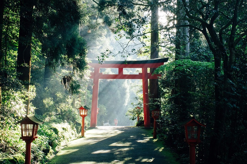 Cổng Torii Nhật Bản nơi dẫn lối đến với các vị thần 12