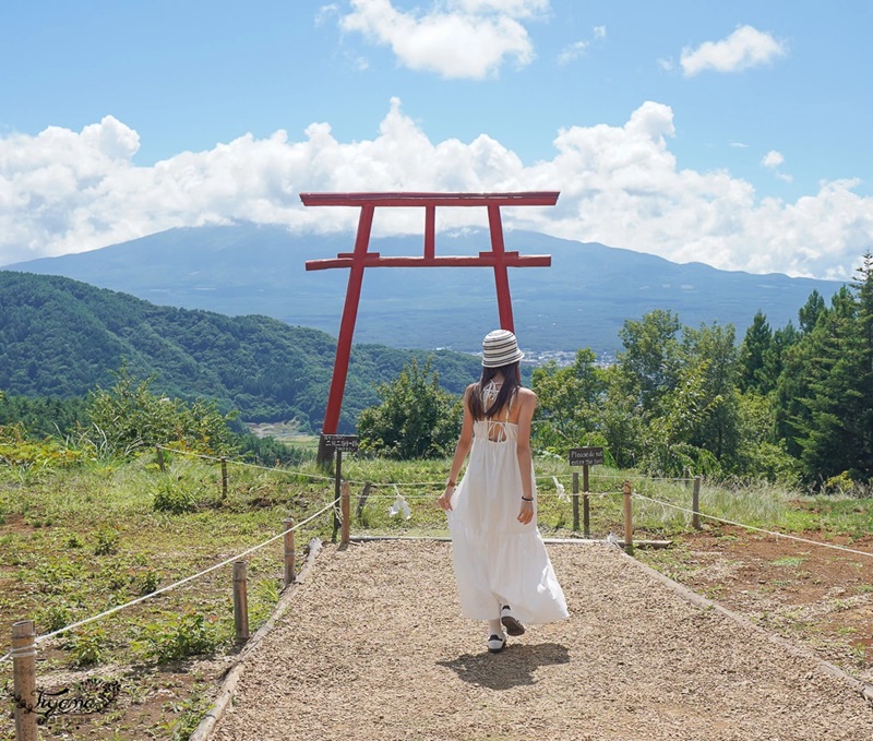 Cổng Torii Nhật Bản nơi dẫn lối đến với các vị thần 2