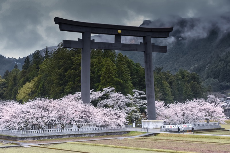 Cổng Torii Nhật Bản nơi dẫn lối đến với các vị thần 10
