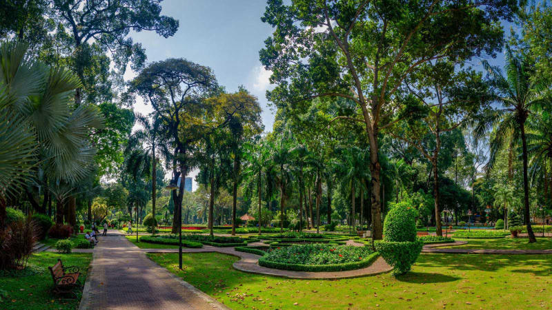 Top 8 công viên cây xanh tại Sài Gòn lý tưởng để thư giãn 2
