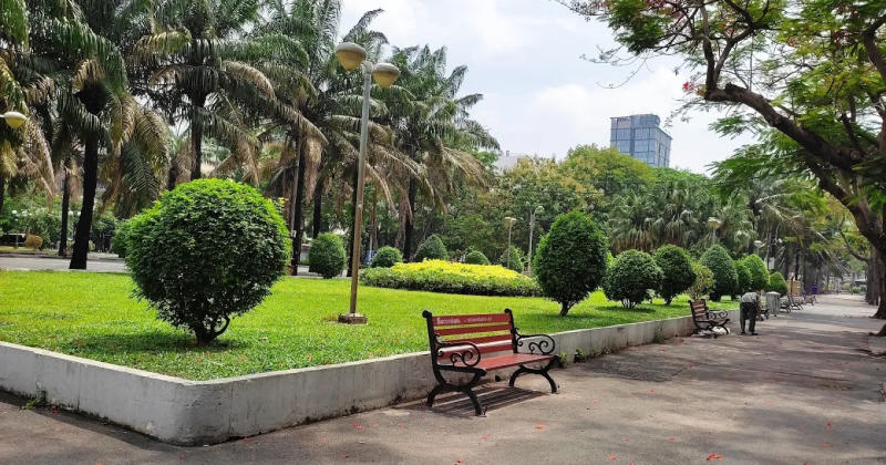 Top 8 công viên cây xanh tại Sài Gòn lý tưởng để thư giãn 3