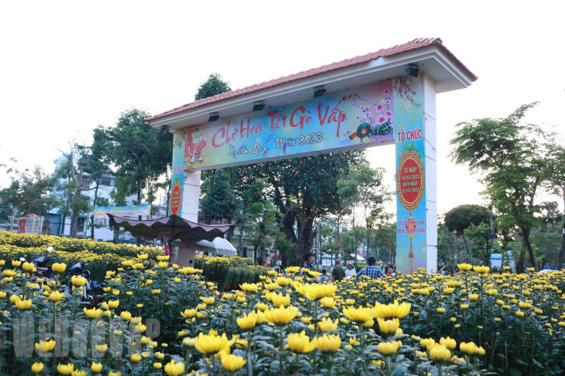 Top 8 công viên cây xanh tại Sài Gòn lý tưởng để thư giãn 9