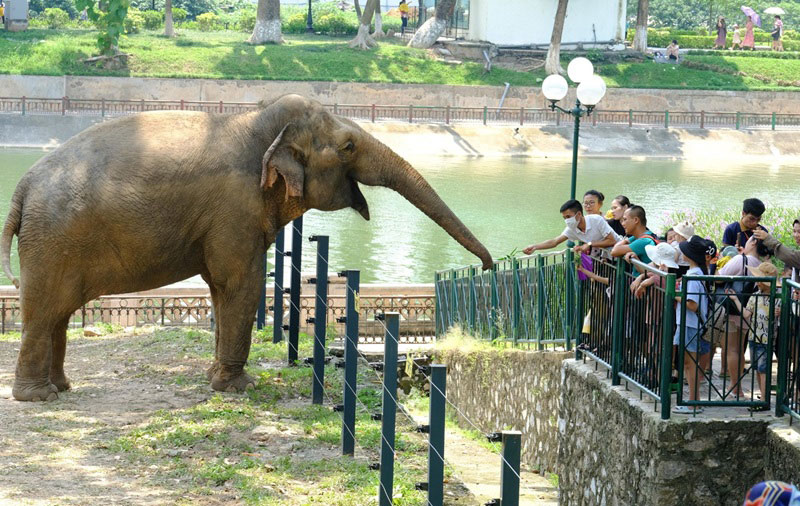 Top 9 công viên cây xanh tránh nóng cho mùa hè thủ đô 6