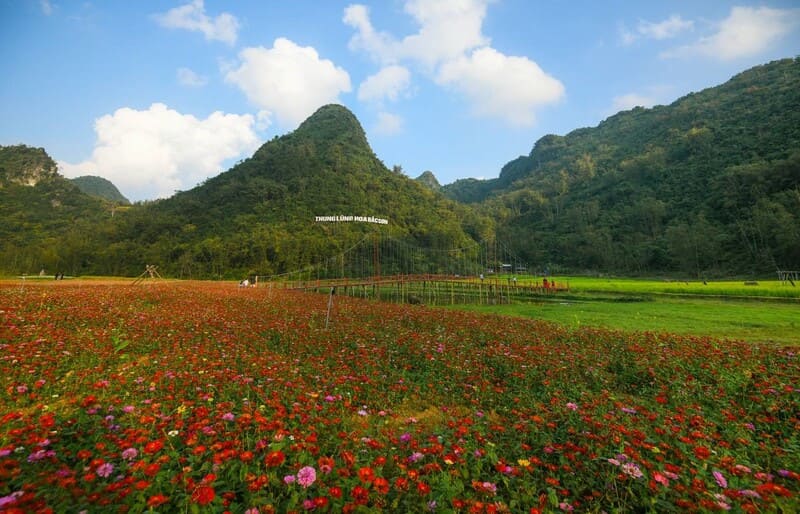 Các Công viên địa chất toàn cầu tại Việt Nam được UNESCO công nhận 5