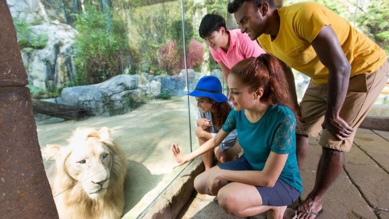 Sunway Lagoon, công viên giải trí theo chủ đề hàng đầu châu Á 6