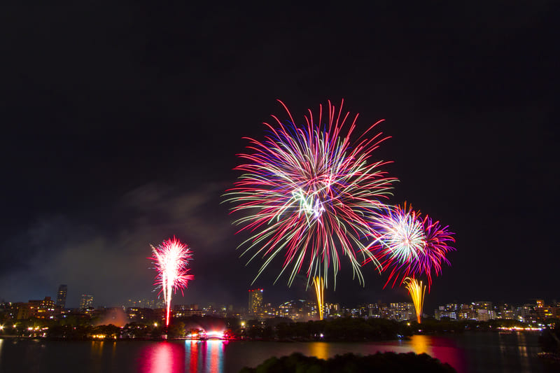 Ohori Park, Fukuoka: Công viên hồ nước đẹp nhất Nhật Bản 8