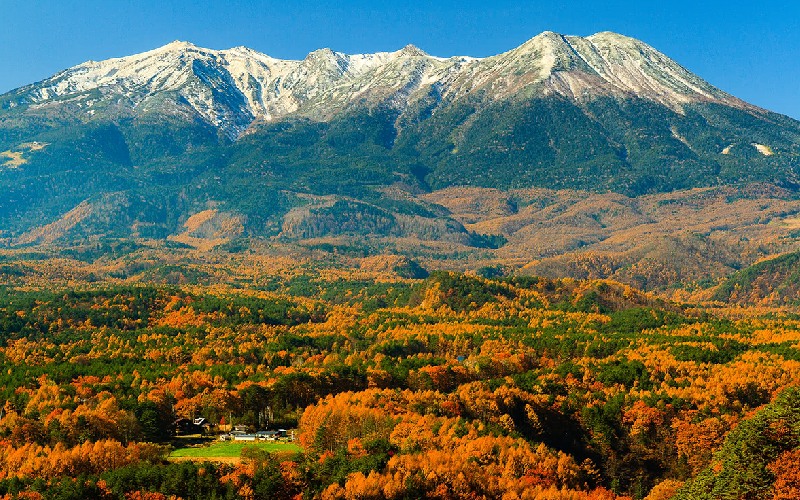 Khám phá công viên khỉ Jigokudani độc đáo tại Nhật Bản 6