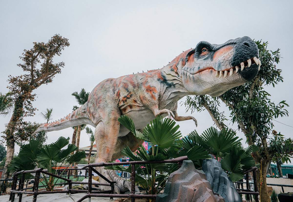 Công viên khủng long Ninh Bình - Điểm đến thú vị bạn không nên bỏ lỡ 8