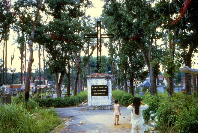 Công viên Lê Văn Tám: Điểm dạo chơi hóng mát lý tưởng giữa Sài Gòn 5