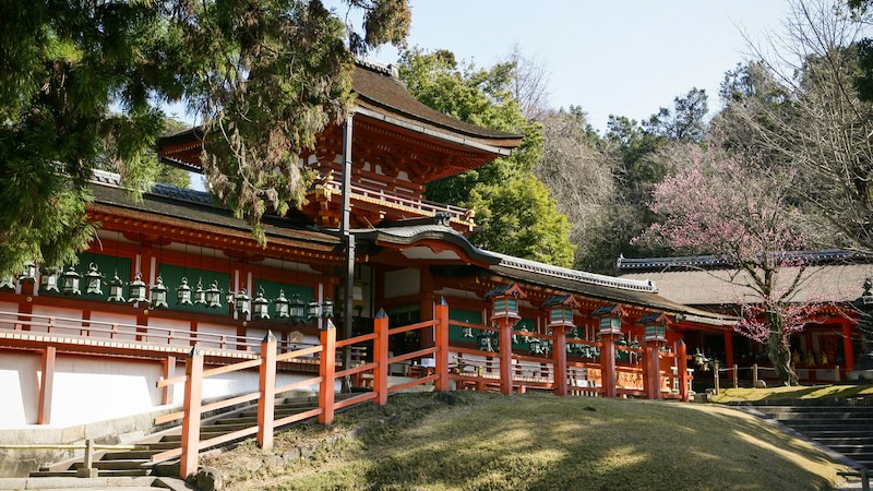 Công viên Nara, khu vườn cổ tích giữa đời thật 6