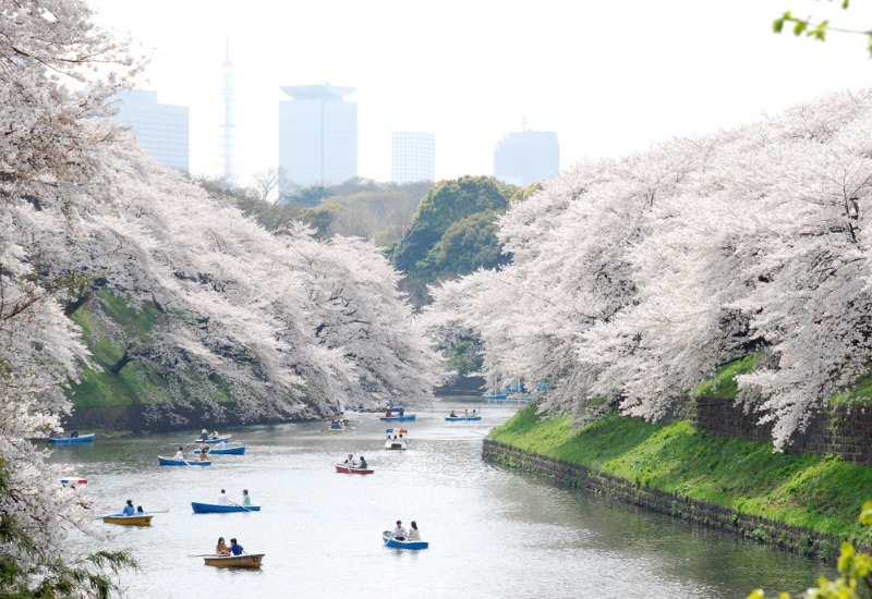 Khám phá công viên Ueno: công viên lâu đời nhất tại Tokyo 2