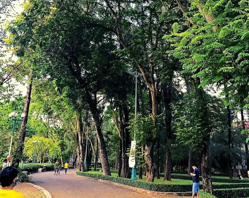 Dạo chơi Công viên Phú Lâm Quận 6: Khoảng xanh mát lành phía Tây Sài Gòn 4