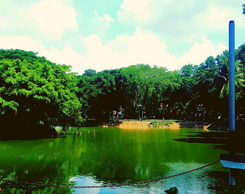 Dạo chơi Công viên Phú Lâm Quận 6: Khoảng xanh mát lành phía Tây Sài Gòn 6