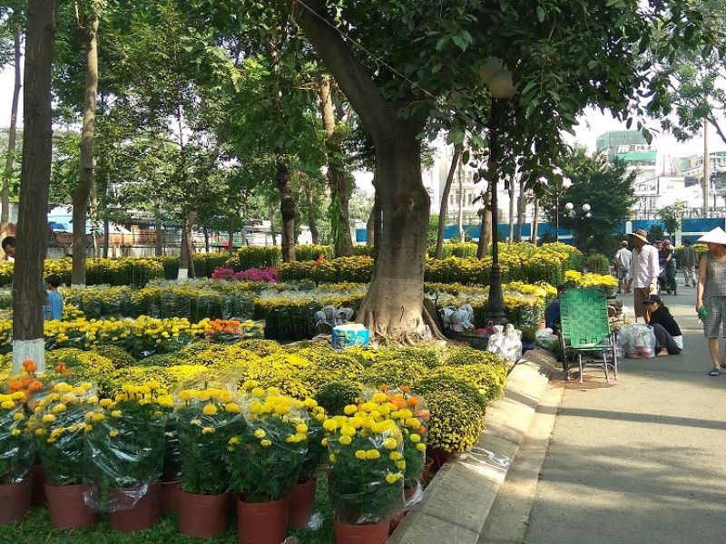 Tổng hợp 12 công viên Sài Gòn xanh mát, đẹp nhất, đáng để khám phá 11