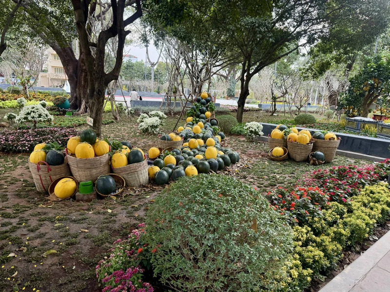 Công viên số 1 Lý Thái Tổ: Trái tim hồi ức giữa đô thành nhộn nhịp 11