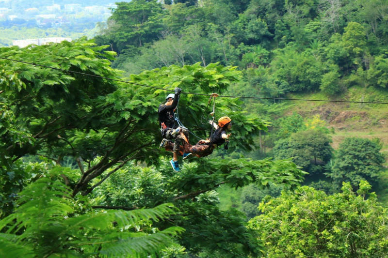 Khám phá Công viên thám hiểm Kong Forest lớn nhất Việt Nam 11