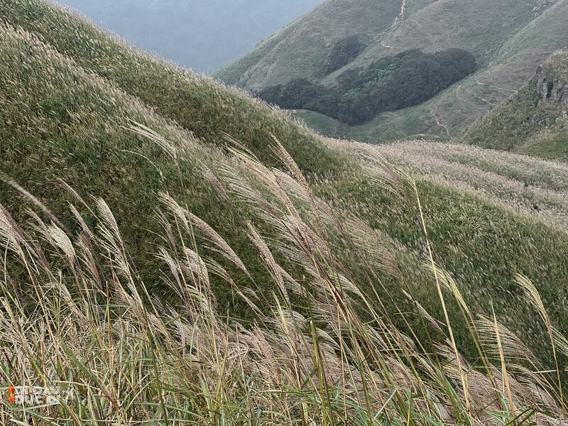 Hành trình chinh phục cột mốc 1305 kỳ vỹ giữa lòng Quảng Ninh 3