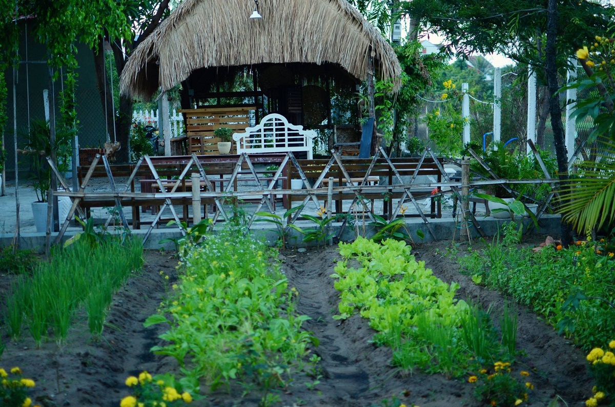 Countryside Homestay Phú Yên, âm hưởng của làng quê thanh bình xứ hoa vàng cỏ xanh 15