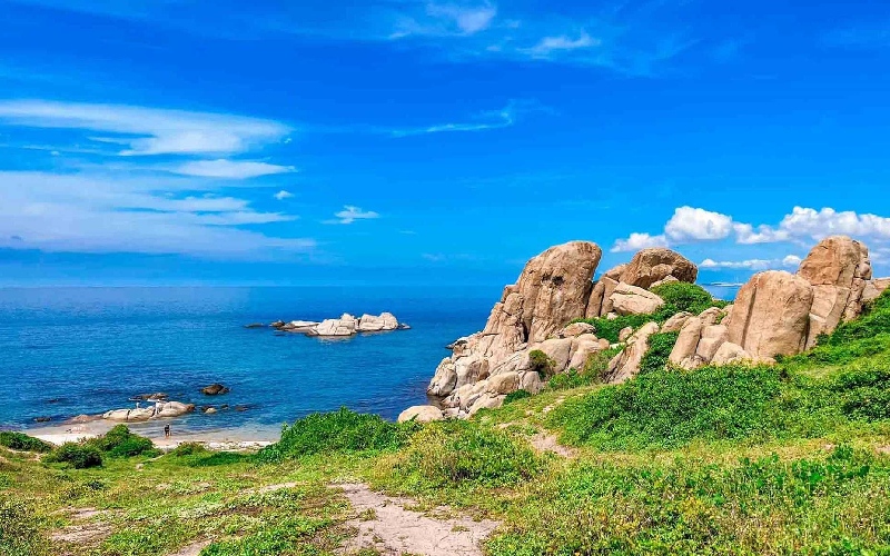 Khám phá Cù Lao Câu với nét đẹp thiên nhiên hoang sơ đầy thú vị 2