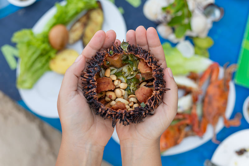 Cẩm nang du lịch Cù lao Chàm: Hành trình về miền đảo xanh trữ tình 11