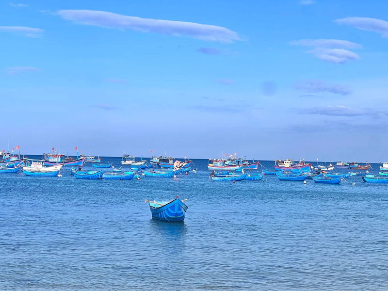 Gợi ý lịch trình khám phá Cù Lao Mái Nhà – Phú Yên trong 1 ngày 4