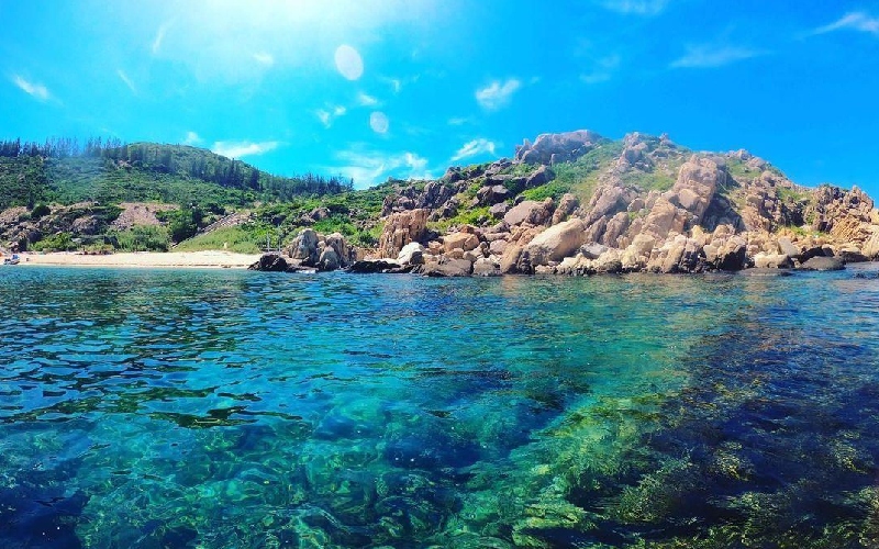 Cù Lao Xanh: Thiên đường biển hoang sơ mê hoặc giữa Quy Nhơn 3