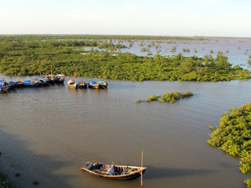 Cửa Ba Lạt: Khám phá vùng đất kỳ thú nơi sông Hồng gặp biển Đông 2