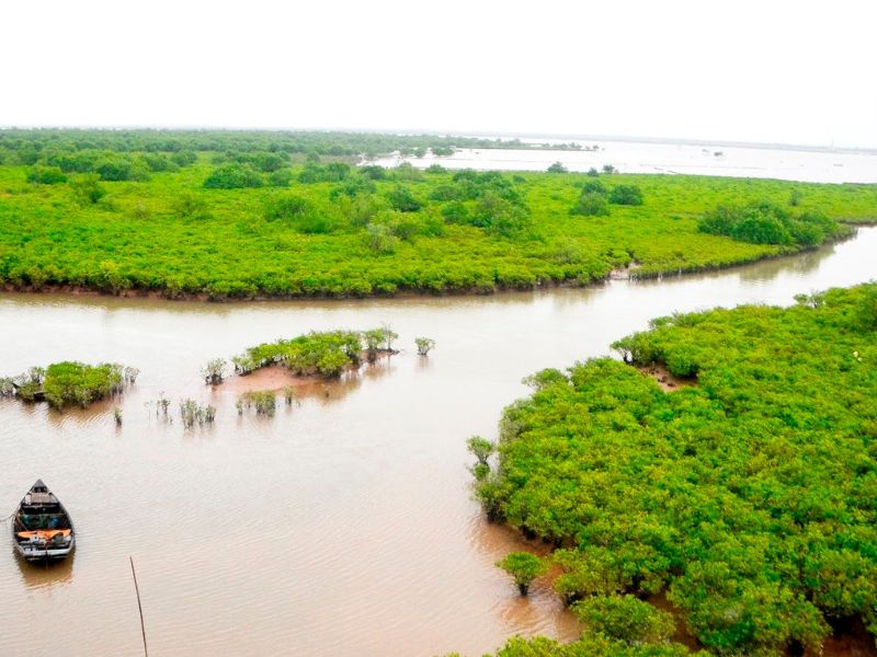 Cửa Ba Lạt: Khám phá vùng đất kỳ thú nơi sông Hồng gặp biển Đông 9