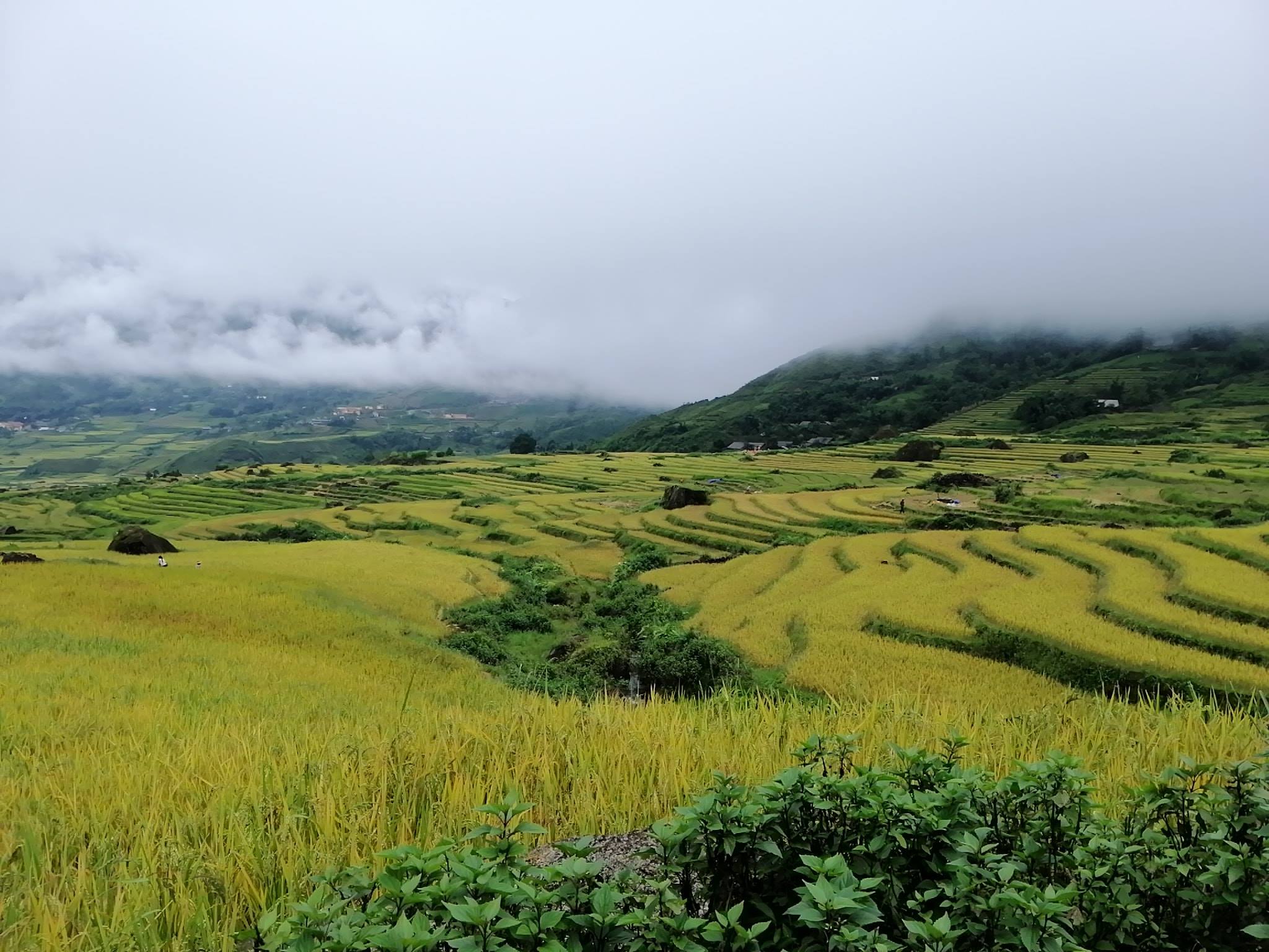 The View Sapa Hotel với tầm nhìn dãy núi Hoàng Liên Sơn hùng vĩ 22