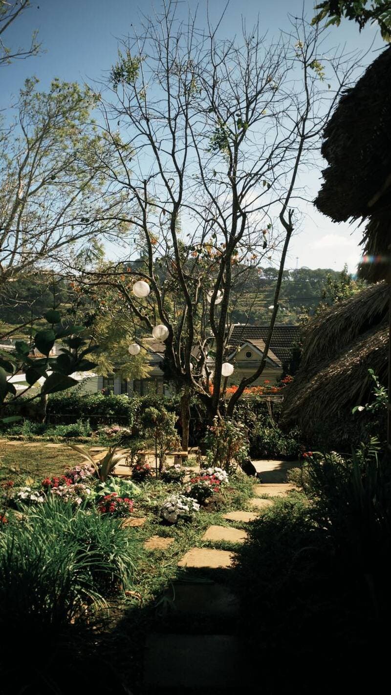 Đà Lạt Củi Homestay, thả hồn vào những màu sắc thuần khiết nhất của thiên nhiên 3