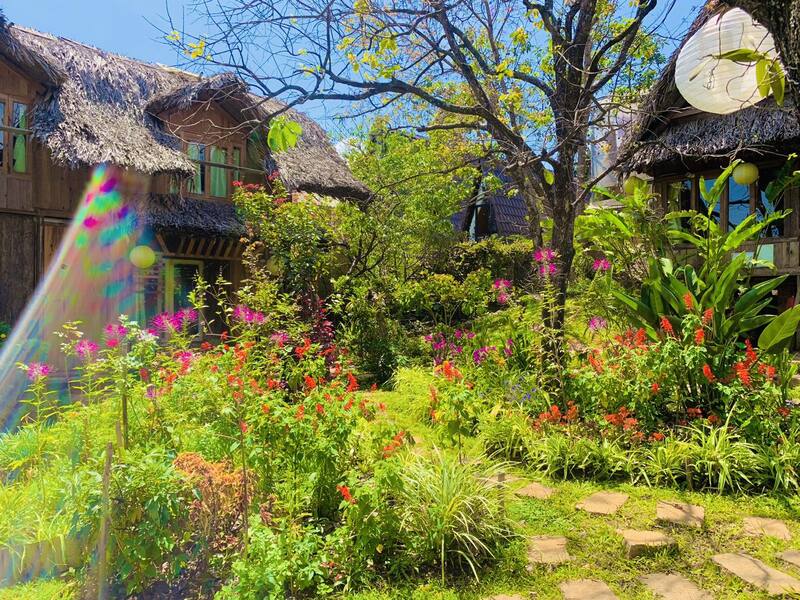 Đà Lạt Củi Homestay, thả hồn vào những màu sắc thuần khiết nhất của thiên nhiên 6