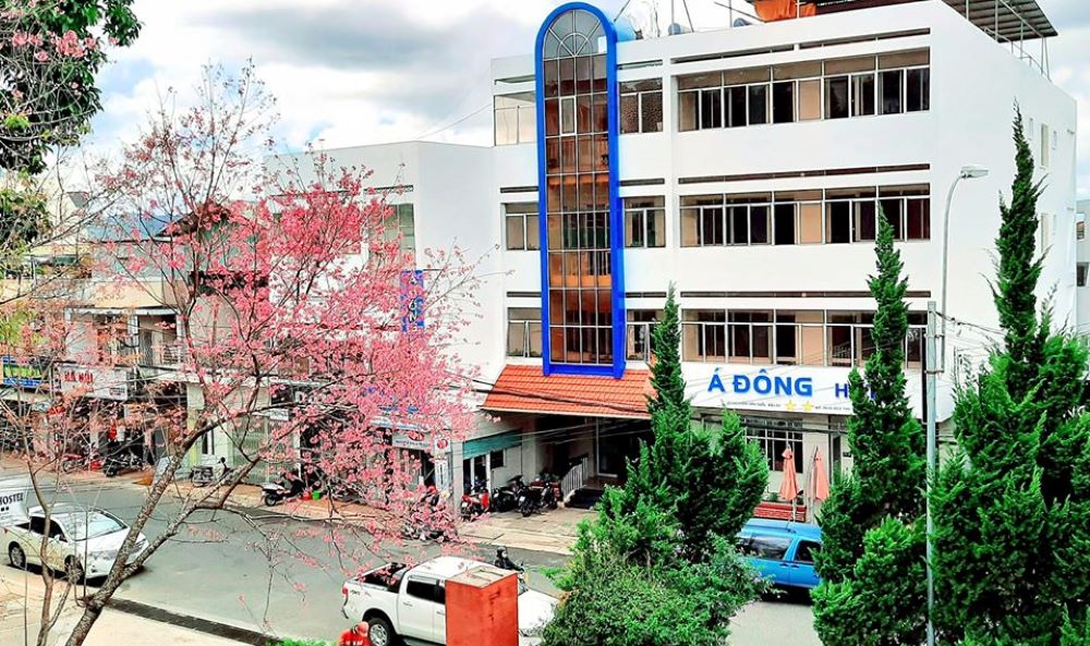 Cùng A Dong Hotel Dalat tận hưởng kỳ nghỉ dưỡng tại thành phố ngàn hoa 2