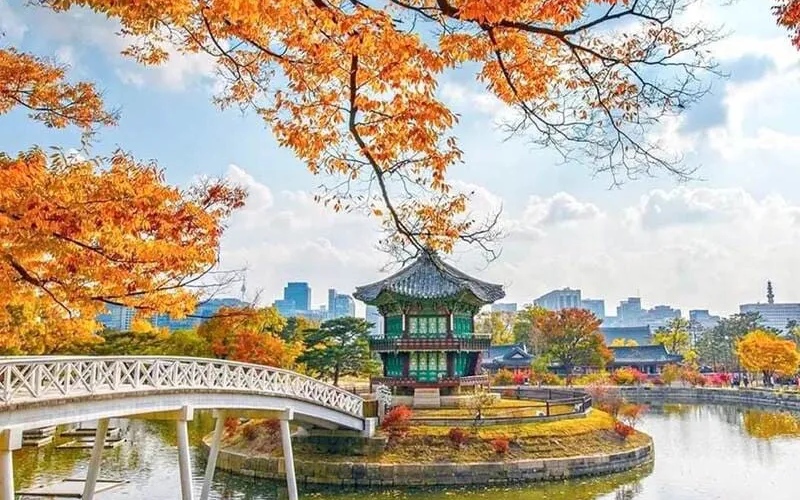 Bí ẩn và vẻ đẹp cổ kính của cung điện Gyeongbokgung Hàn Quốc 15