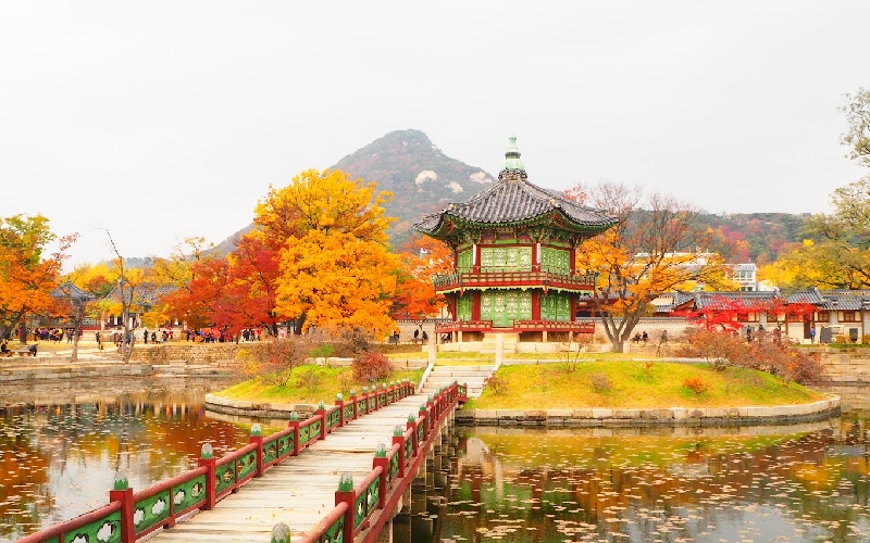 Bí ẩn và vẻ đẹp cổ kính của cung điện Gyeongbokgung Hàn Quốc 3