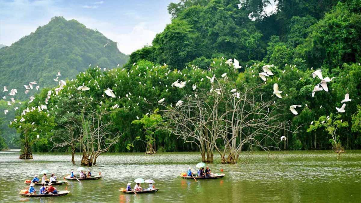 Cùng MIA.vn mở ra 7 địa điểm khám phá Ninh Bình buổi sáng 13