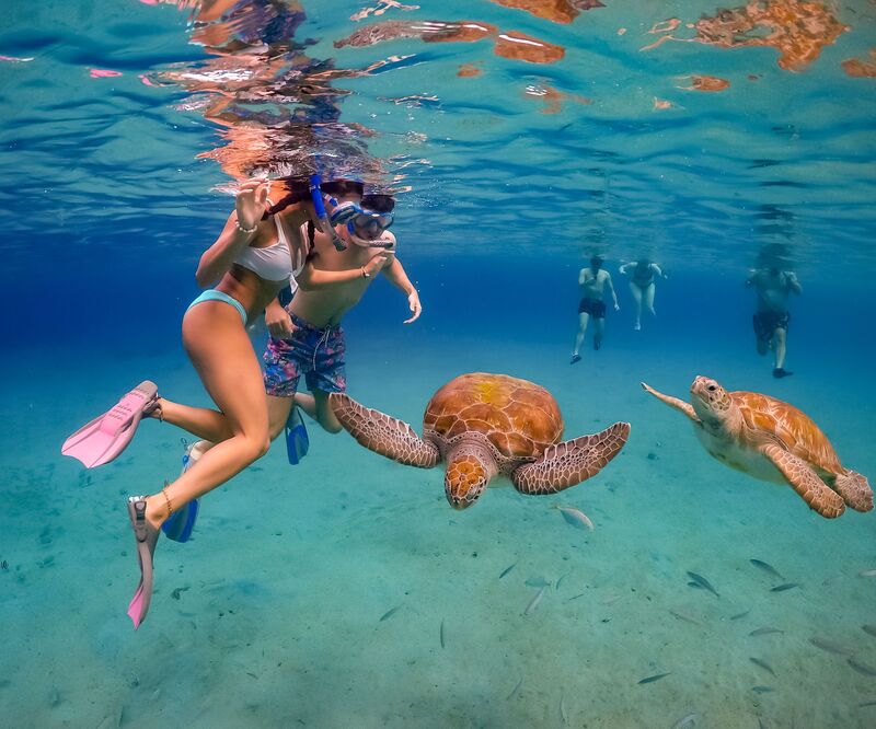 Curacao, quốc đảo tự trị Caribe với thiên đường biển xanh 10