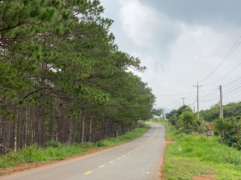 Một ngày ở Đạ Tẻh: Lịch trình khám phá giữa cao nguyên 3