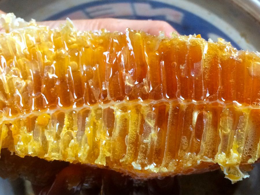 Đặc sắc Nghề gác kèo ong ở rừng U Minh Hạ Cà Mau 6
