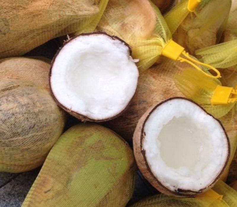 Đặc sản dừa sáp Trà Vinh và những cách chế biến chuẩn miền Tây