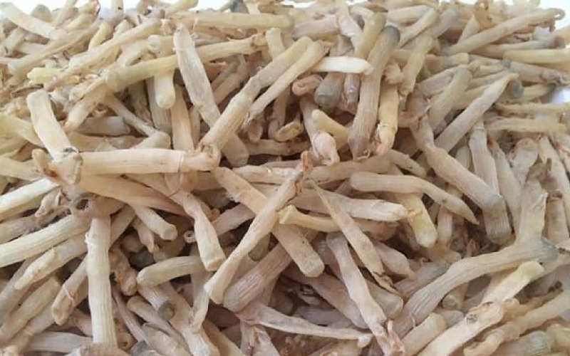 Top 25 đặc sản Hải Phòng ngon “quên lối về” nhất định phải thử 13