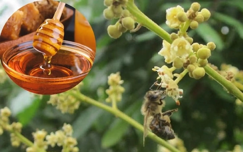 Top 18 đặc sản Hưng Yên bạn nhất định phải thử một lần 14