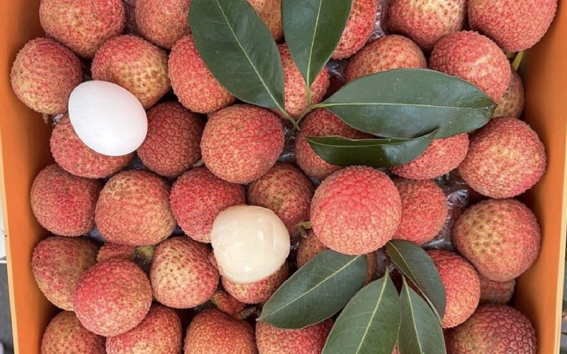 Top 18 đặc sản Hưng Yên bạn nhất định phải thử một lần 17