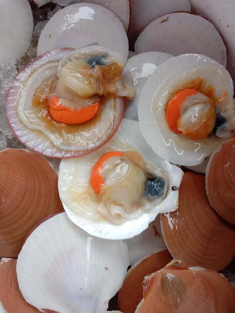 TOP 25 đặc sản Quảng Ngãi ngon khó cưỡng, ăn là mê 22