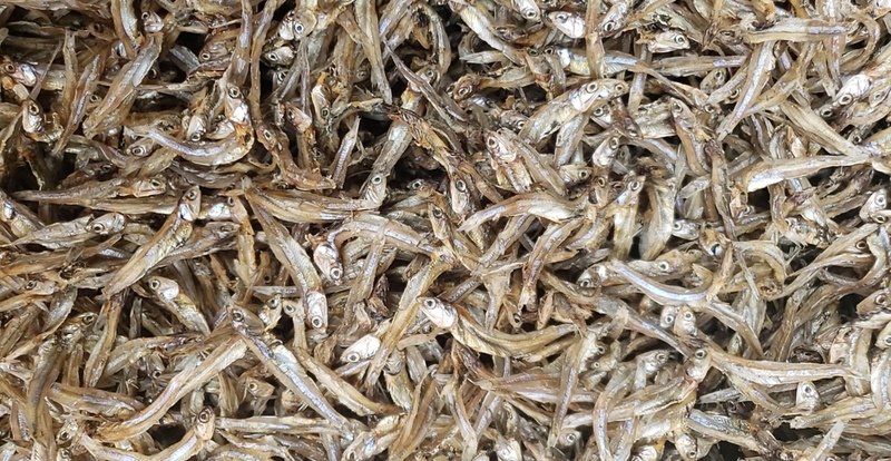 TOP 25 đặc sản Quảng Ngãi ngon khó cưỡng, ăn là mê 23